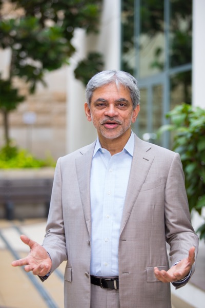 Narayan Pant, Professor, INSEAD